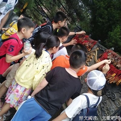 《辛巴奇遇记》经典影评1000字
