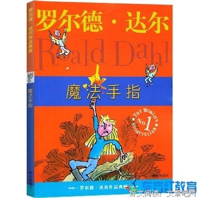 《亲历可可西里10年：志愿者讲述》读后感1000字