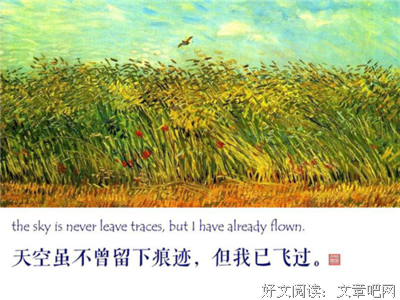 《泰戈尔的诗》读后感摘抄