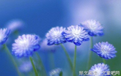 《假如幸福来临》观后感摘抄