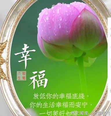 关于不动声色的语句