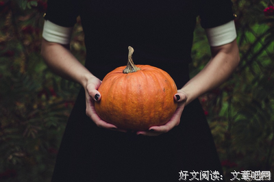 《吃南瓜的人》读后感1000字