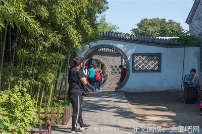 《王家一家人》观后感100字