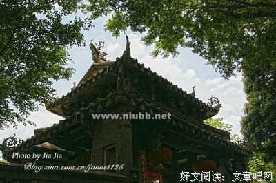 麦地里的飞檐读后感100字