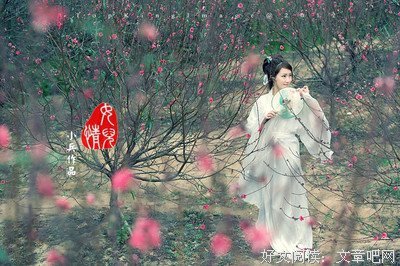 关于古词句的句子