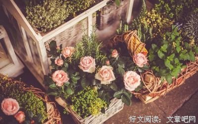 关于阳光雨露的优美句子