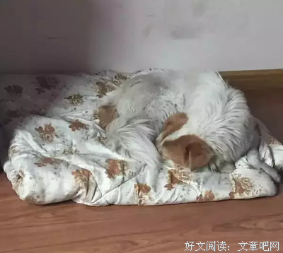 有关人性的弱点的句子