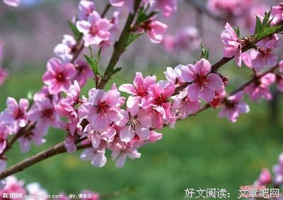 随笔优美的句子