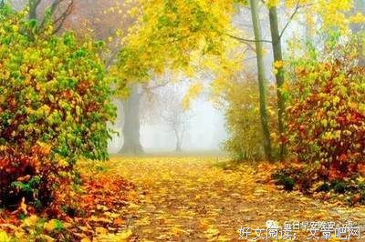 关于喜你为疾 无药可医的优美句子