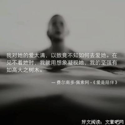 顾城好词好句