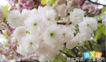 《望而不复还》的句子