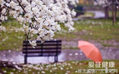 关于梦精彩语录