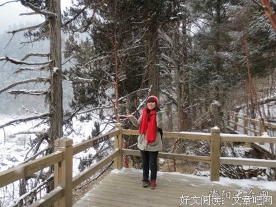 《夏风微凉》经典语录大全