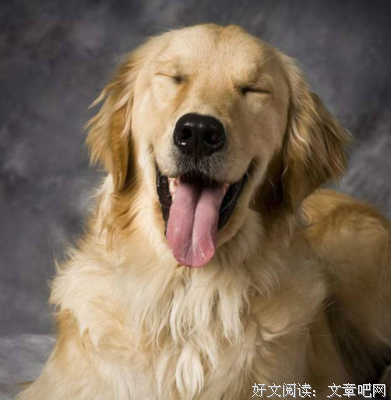 《希望与恐惧之间》读后感锦集
