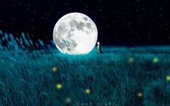 《自闭症》读后感精选