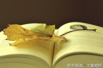 第三种生存读后感1000字
