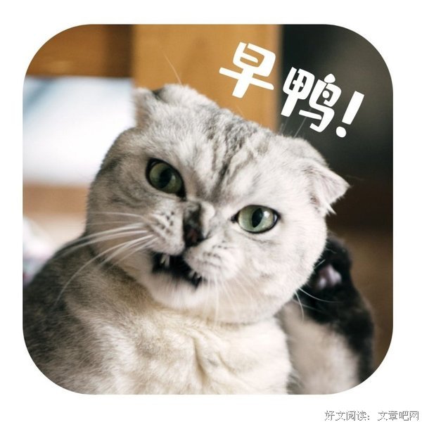 残暴的名句_关于残暴的名句