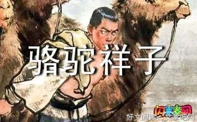 飞翔的鸟拒绝忧伤读后感100字