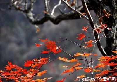 血色黄昏的读后感大全