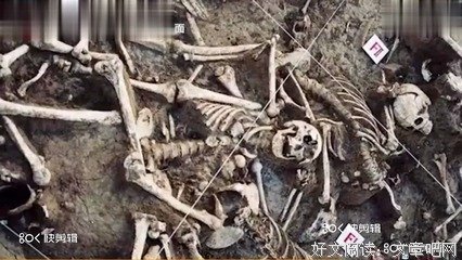 《东方帝王谷》观后感精选
