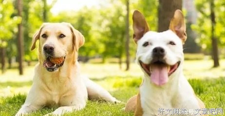 《数学女孩的恋爱事件簿》观后感精选