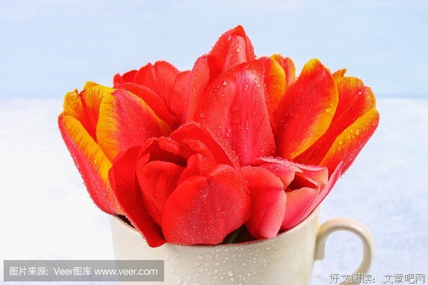 《一次邂逅》经典影评1000字