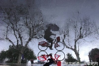《桥之雨》经典影评集