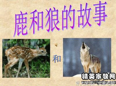 想象的共同体的读后感大全