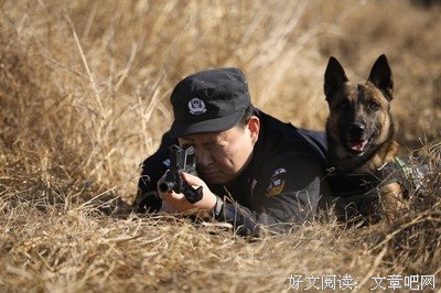 《神犬奇兵》经典观后感有感