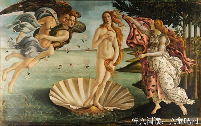 《维纳斯的诞生》读后感精选