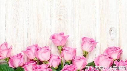 《青春有张不老的容颜》的句子