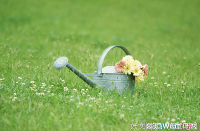 心情，好词好句