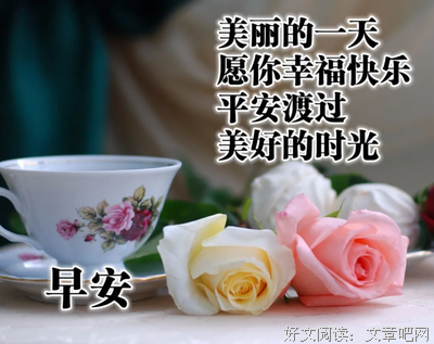 愿世界温柔相待的句子