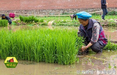 晴当在中句子大全