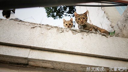 心情杂记的句子