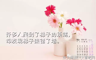 《花了愿》的句子