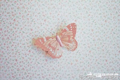 关于一花一世界的句子