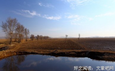 水库13的读后感大全