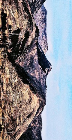 远山淡影（双语版）读后感100字