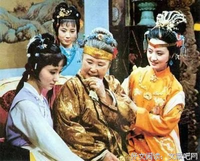 你的生命如此多情读后感100字