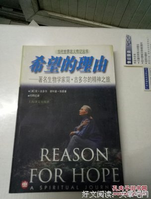 古多尔的精神之旅读后感摘抄