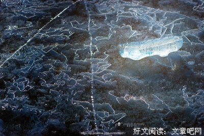 《冰是睡着的水》读后感100字