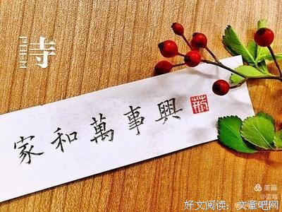 从摇篮到摇篮的读后感大全