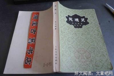 灵魂的事读后感锦集