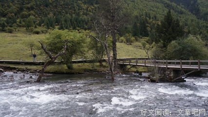 《我在天堂等你》读后感1000字