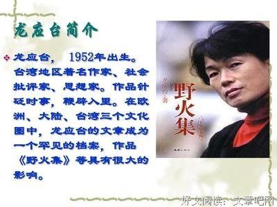《野火集》读后感100字