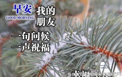 描写深入人心的语句摘抄