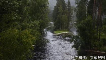 《群星，我的归宿》读后感锦集