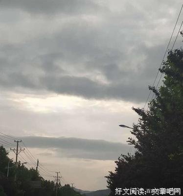 惺惺相惜的语句摘抄_关于惺惺相惜的语句