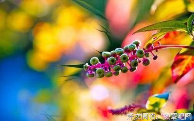 你欠我的幸福，拿什么来弥补名句欣赏
